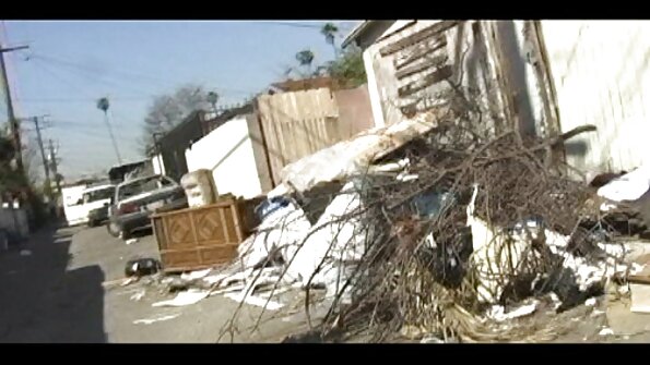 wir haben porno videos mit reifen frauen nach Pilzen gesucht, jetzt heißt es